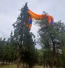Pamukkale'de Paraşüt Kazası: Pilot Ağaçta Mahsur Kaldı