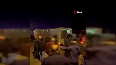 Milyonluk Yarış Atları Kazada Stres Yaşadı!
